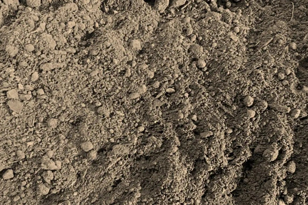 Mulch
