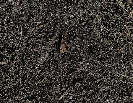 Black Hardwood