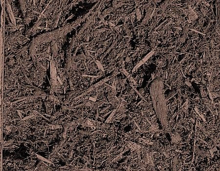 Brown Hardwood