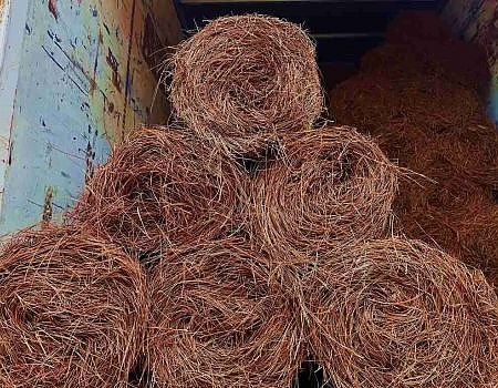 Pine Straw